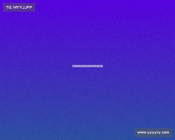 拳击赛事百科全书全面解析各类比赛种类与特点